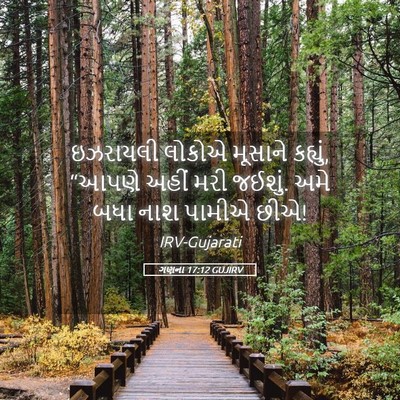 Picture 05 - ગણના 17:12 GUJIRV - ઇઝરાયલી લોકોએ - Bible Verse Picture