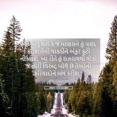 Picture 05 - ગણના 17:5 GUJIRV - અને એવું થશે કે જે - Bible Verse Picture
