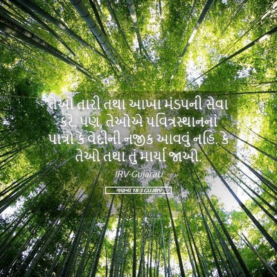 Picture 05 - ગણના 18:3 GUJIRV - તેઓ તારી તથા આખા - Bible Verse Picture