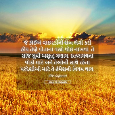 Picture 05 - ગણના 19:10 GUJIRV - જે કોઈએ વાછરડીની - Bible Verse Picture