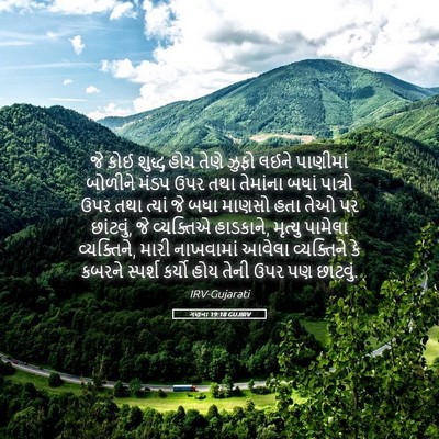 Picture 05 - ગણના 19:18 GUJIRV - જે કોઈ શુદ્ધ હોય - Bible Verse Picture