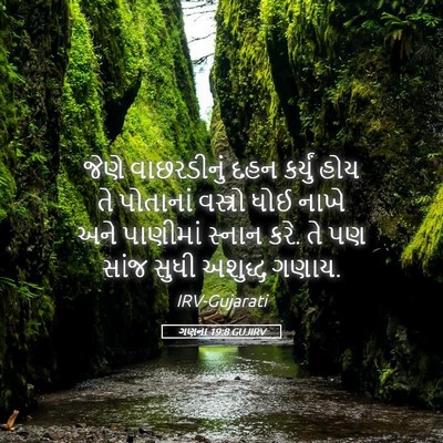 Picture 05 - ગણના 19:8 GUJIRV - જેણે વાછરડીનું - Bible Verse Picture