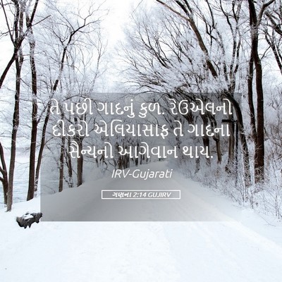Picture 05 - ગણના 2:14 GUJIRV - તે પછી ગાદનું કુળ. - Bible Verse Picture