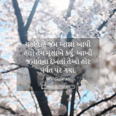 Picture 05 - ગણના 20:27 GUJIRV - યહોવાહે જેમ આજ્ઞા - Bible Verse Picture