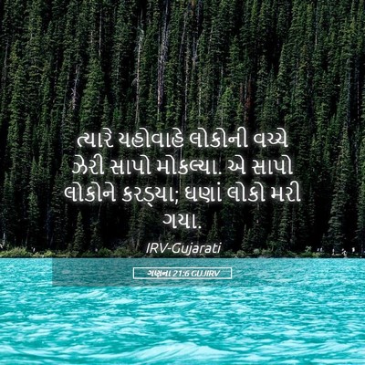 Picture 05 - ગણના 21:6 GUJIRV - ત્યારે યહોવાહે - Bible Verse Picture