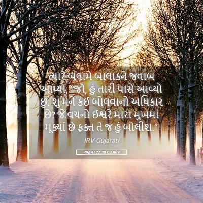 Picture 05 - ગણના 22:38 GUJIRV - ત્યારે બલામે - Bible Verse Picture