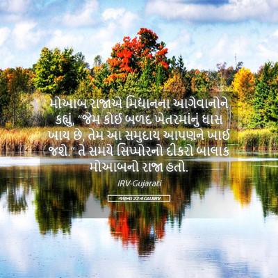 Picture 05 - ગણના 22:4 GUJIRV - મોઆબ રાજાએ - Bible Verse Picture