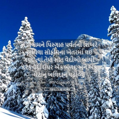 Picture 05 - ગણના 23:14 GUJIRV - તે બલામને પિસ્ગાહ - Bible Verse Picture