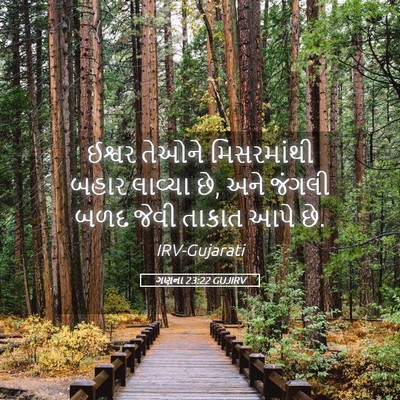 Picture 05 - ગણના 23:22 GUJIRV - ઈશ્વર તેઓને - Bible Verse Picture