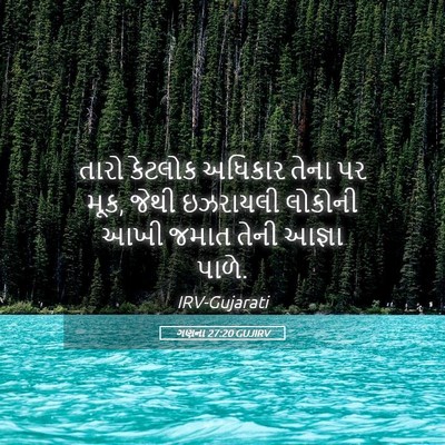 Picture 05 - ગણના 27:20 GUJIRV - તારો કેટલોક - Bible Verse Picture