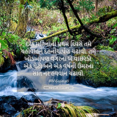 Picture 05 - ગણના 28:11 GUJIRV - દરેક મહિનાના - Bible Verse Picture