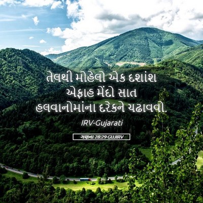 Picture 05 - ગણના 28:29 GUJIRV - તેલથી મોહેલો એક - Bible Verse Picture