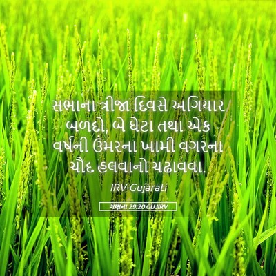 Picture 05 - ગણના 29:20 GUJIRV - સભાના ત્રીજા - Bible Verse Picture