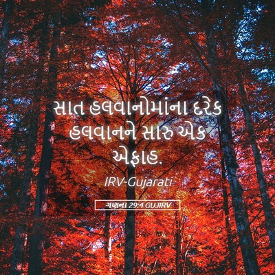Picture 05 - ગણના 29:4 GUJIRV - સાત હલવાનોમાંના - Bible Verse Picture