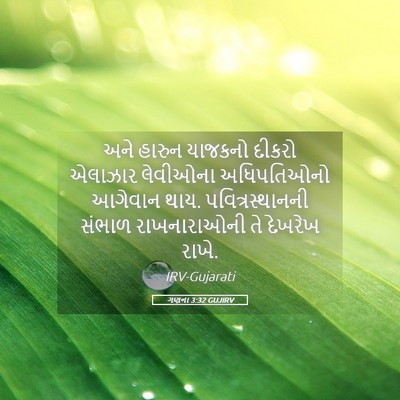 Picture 05 - ગણના 3:32 GUJIRV - અને હારુન યાજકનો - Bible Verse Picture