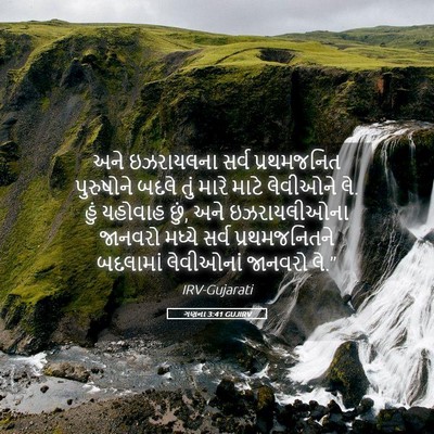 Picture 05 - ગણના 3:41 GUJIRV - અને ઇઝરાયલના સર્વ - Bible Verse Picture
