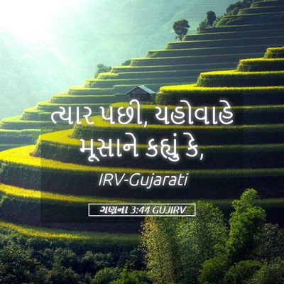 Picture 05 - ગણના 3:44 GUJIRV - ત્યાર પછી, યહોવાહે - Bible Verse Picture
