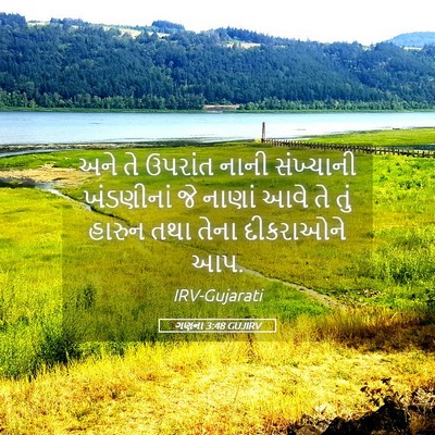 Picture 05 - ગણના 3:48 GUJIRV - અને તે ઉપરાંત નાની - Bible Verse Picture