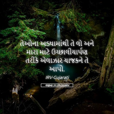 Picture 05 - ગણના 31:29 GUJIRV - તેઓના અડધામાંથી - Bible Verse Picture