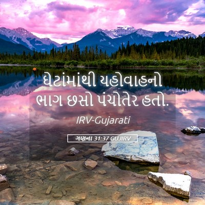 Picture 05 - ગણના 31:37 GUJIRV - ઘેટાંમાંથી - Bible Verse Picture
