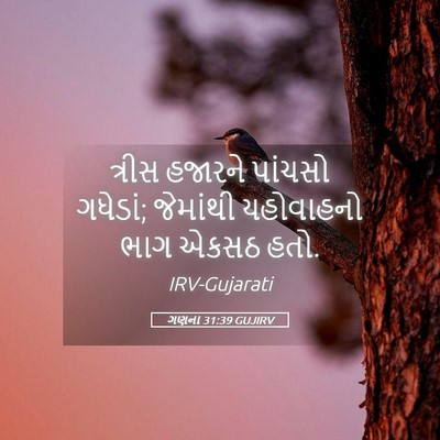Picture 05 - ગણના 31:39 GUJIRV - ત્રીસ હજારને - Bible Verse Picture