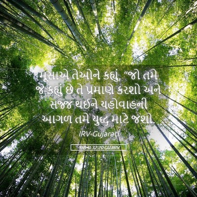 Picture 05 - ગણના 32:20 GUJIRV - મૂસાએ તેઓને - Bible Verse Picture