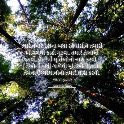 Picture 05 - ગણના 33:52 GUJIRV - ત્યારે તમારે - Bible Verse Picture