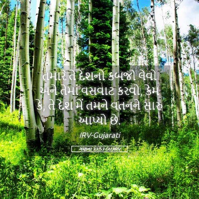 Picture 05 - ગણના 33:53 GUJIRV - તમારે તે દેશનો - Bible Verse Picture