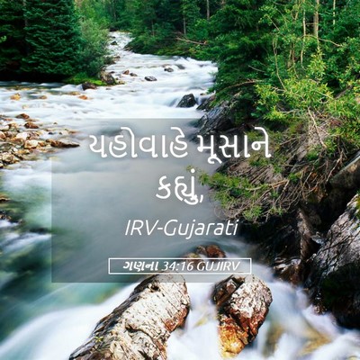 Picture 05 - ગણના 34:16 GUJIRV - યહોવાહે મૂસાને - Bible Verse Picture