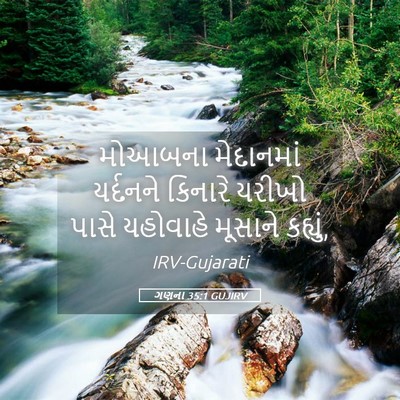 Picture 05 - ગણના 35:1 GUJIRV - મોઆબના મેદાનમાં - Bible Verse Picture