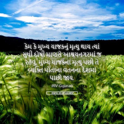 Picture 05 - ગણના 35:28 GUJIRV - કેમ કે મુખ્ય - Bible Verse Picture