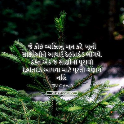 Picture 05 - ગણના 35:30 GUJIRV - જે કોઈ વ્યક્તિનું - Bible Verse Picture