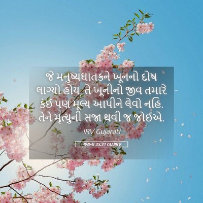 Picture 05 - ગણના 35:31 GUJIRV - જે મનુષ્યઘાતકને - Bible Verse Picture