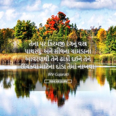 Picture 05 - ગણના 4:8 GUJIRV - તેના પર કિરમજી - Bible Verse Picture