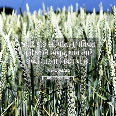 Picture 05 - ગણના 5:29 GUJIRV - જ્યારે કોઈ સ્ત્રી - Bible Verse Picture