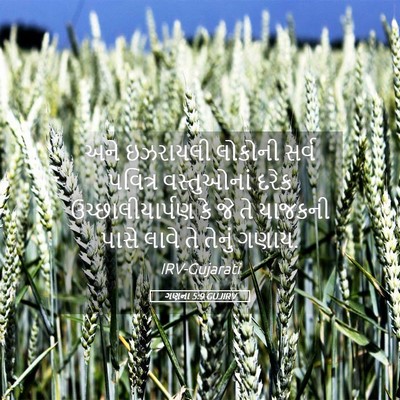 Picture 05 - ગણના 5:9 GUJIRV - અને ઇઝરાયલી - Bible Verse Picture