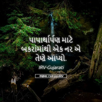 Picture 05 - ગણના 7:64 GUJIRV - પાપાર્થાર્પણ માટે - Bible Verse Picture