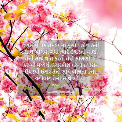 Picture 05 - ગણના 7:89 GUJIRV - જ્યારે - Bible Verse Picture