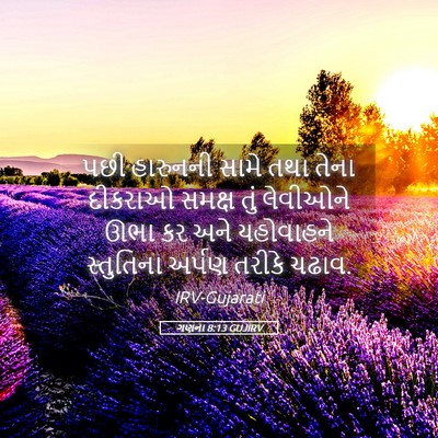 Picture 05 - ગણના 8:13 GUJIRV - પછી હારુનની સામે - Bible Verse Picture