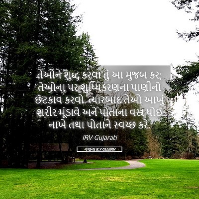 Picture 05 - ગણના 8:7 GUJIRV - તેઓને શુદ્ધ કરવા - Bible Verse Picture
