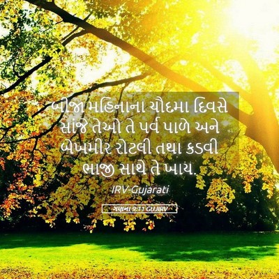 Picture 05 - ગણના 9:11 GUJIRV - બીજા મહિનાના - Bible Verse Picture