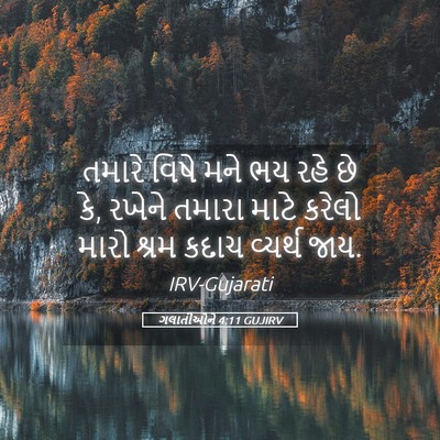 Picture 05 - ગલાતીઓને 4:11 GUJIRV - તમારે વિષે મને ભય - Bible Verse Picture