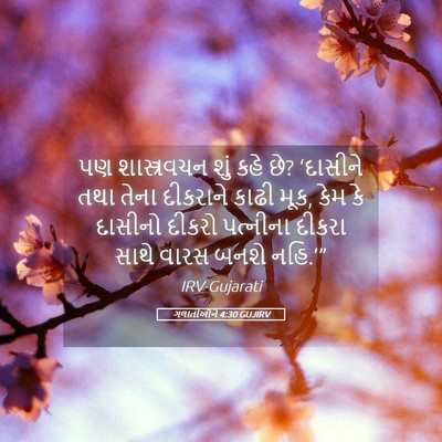 Picture 05 - ગલાતીઓને 4:30 GUJIRV - પણ શાસ્ત્રવચન શું - Bible Verse Picture