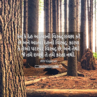 Picture 05 - ગલાતીઓને 5:17 GUJIRV - કેમ કે દેહ આત્માની - Bible Verse Picture