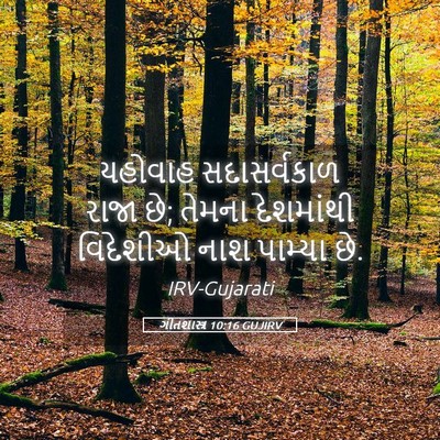 Picture 05 - ગીતશાસ્ત્ર 10:16 GUJIRV - યહોવાહ સદાસર્વકાળ - Bible Verse Picture