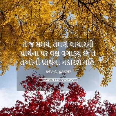 Picture 05 - ગીતશાસ્ત્ર 102:17 GUJIRV - તે જ સમયે, તેમણે - Bible Verse Picture