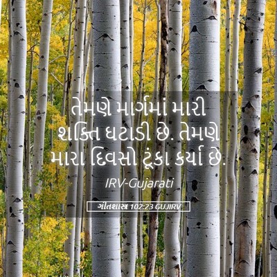 Picture 05 - ગીતશાસ્ત્ર 102:23 GUJIRV - તેમણે માર્ગમાં - Bible Verse Picture