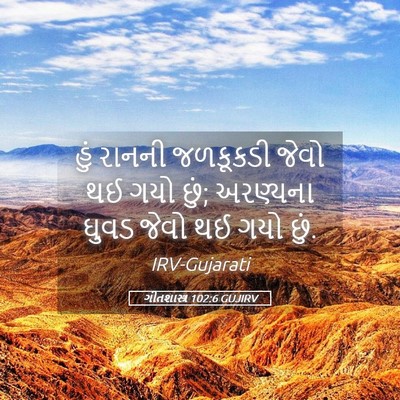 Picture 05 - ગીતશાસ્ત્ર 102:6 GUJIRV - હું રાનની જળકૂકડી - Bible Verse Picture
