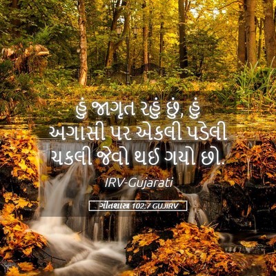 Picture 05 - ગીતશાસ્ત્ર 102:7 GUJIRV - હું જાગૃત રહું છું, - Bible Verse Picture