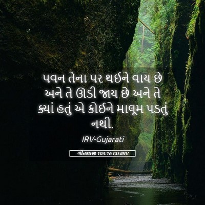 Picture 05 - ગીતશાસ્ત્ર 103:16 GUJIRV - પવન તેના પર થઈને - Bible Verse Picture
